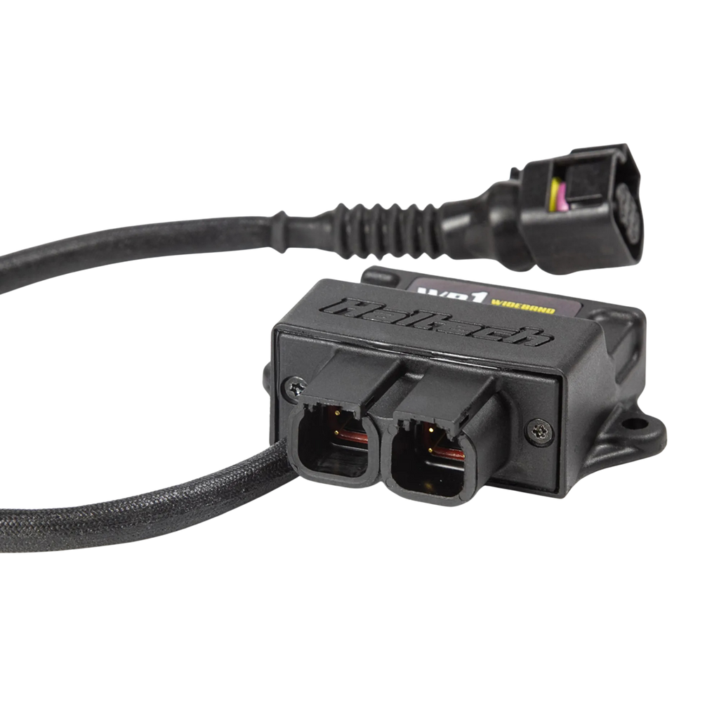 Haltech Single Channel O2 Wideband Controller Kit